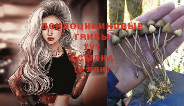 ALPHA PVP Майский