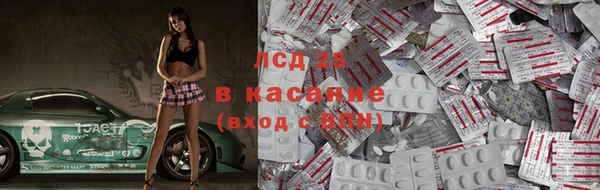 гашик Магас
