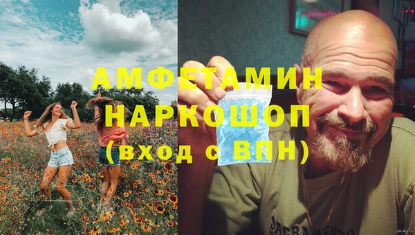 гашик Магас