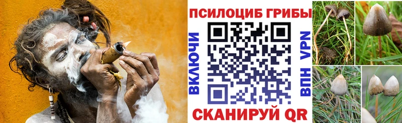 Галлюциногенные грибы Magic Shrooms  Заречный 