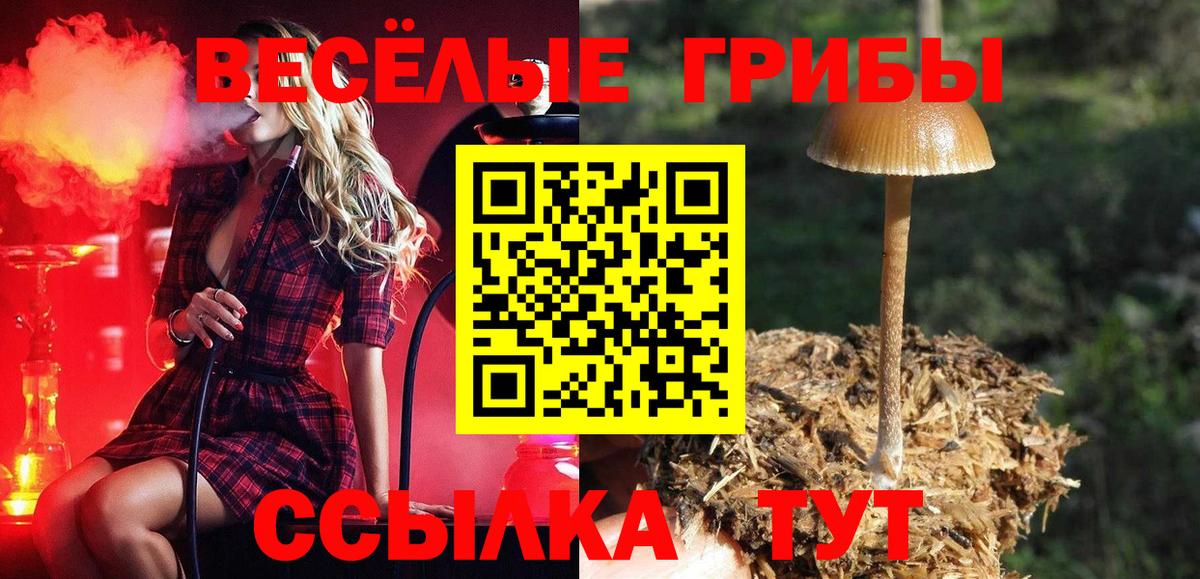 Галлюциногенные грибы мицелий Заречный