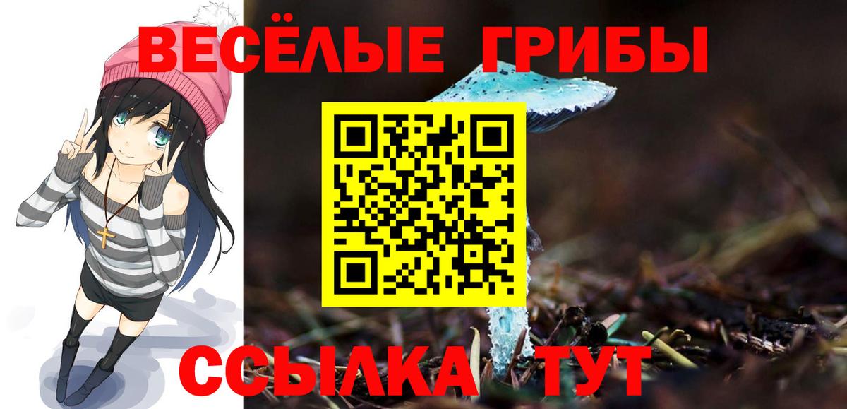 Галлюциногенные грибы Psilocybine cubensis  Вход с VPN  Заречный 