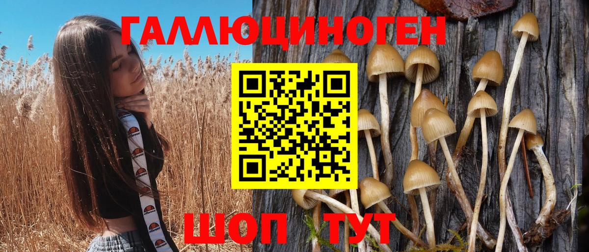 Псилоцибиновые грибы прущие грибы Заречный